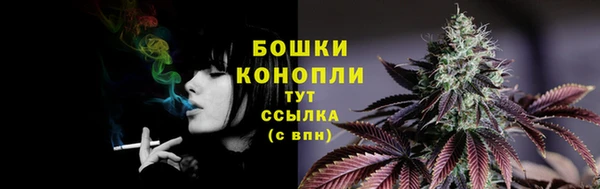 стаф Белокуриха