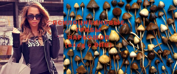 первитин Беломорск