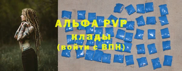 стаф Белокуриха